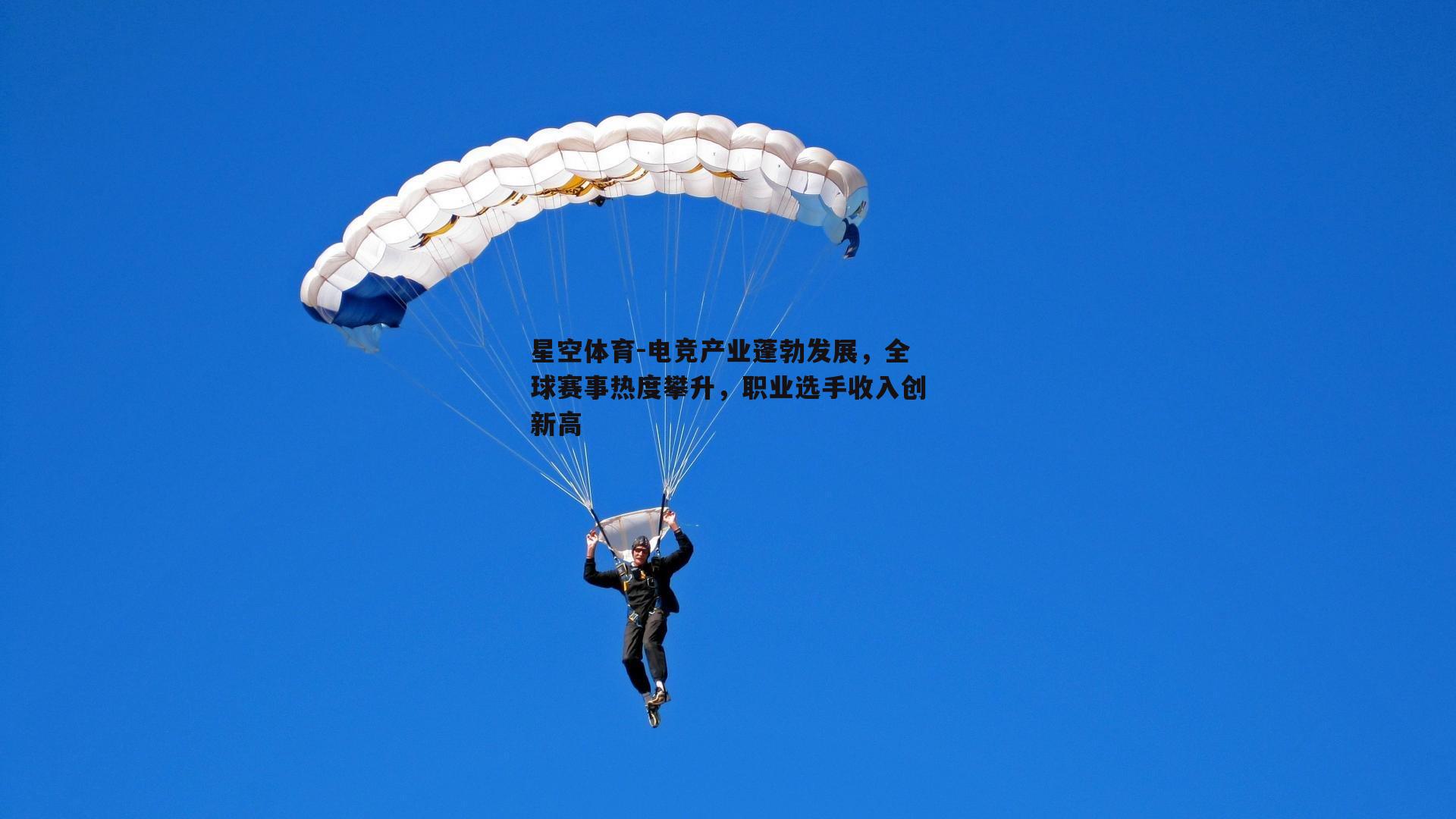 电竞产业蓬勃发展，全球赛事热度攀升，职业选手收入创新高